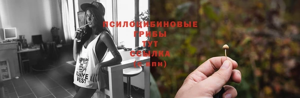 мяу мяу мука Михайловка