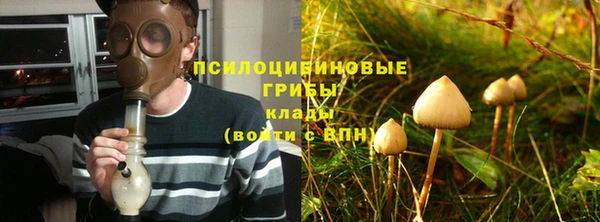 мяу мяу мука Михайловка